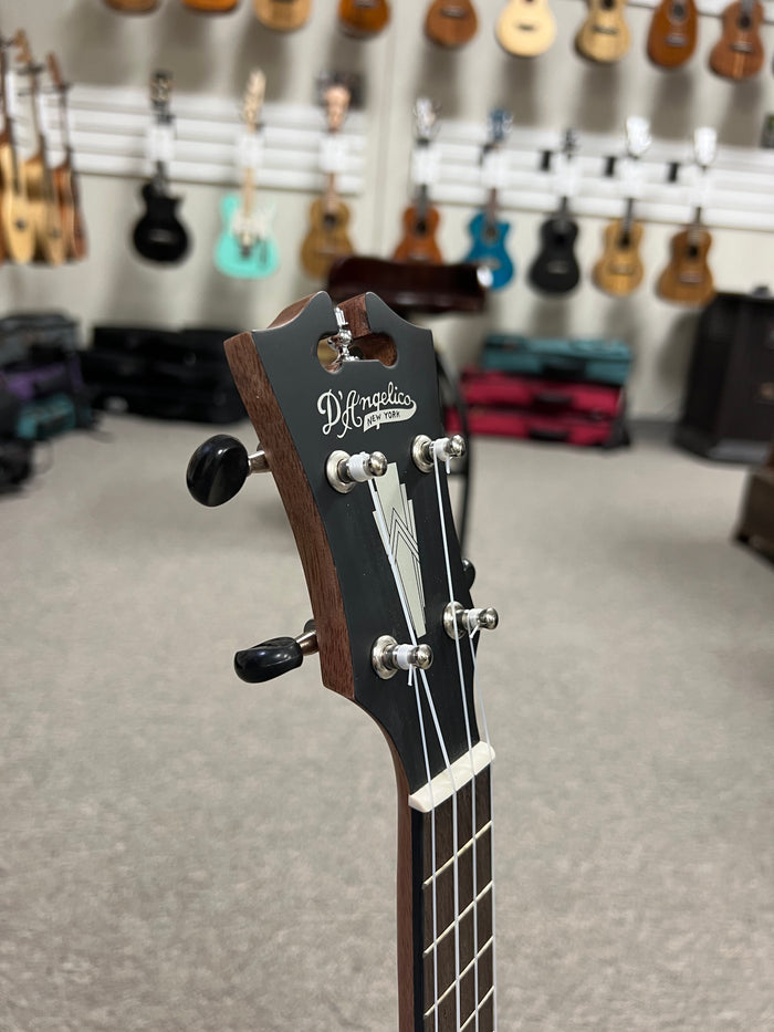 D'Angelico Premier Bayside Acacia Concert Ukulele - Aloha City Ukes