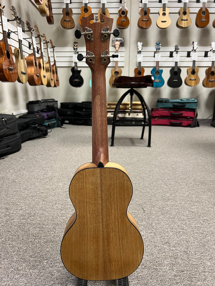 D'Angelico Premier Bayside Acacia Concert Ukulele - Aloha City Ukes