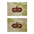 Air Force Embroidered Badge: Scientific Applications Specialist Senior - embroidered on OCP