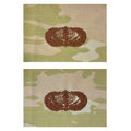 Air Force Embroidered Badge: Services - OCP