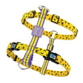 Bari Lightning Chest Collar - Dogs and Horses