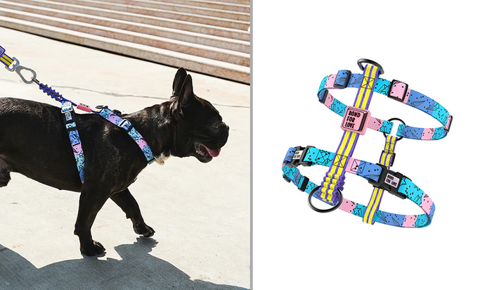 Bari Meteor Chest Collar - Dogs and Horses