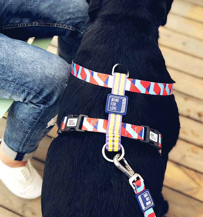 Bari Rhombus Chest Collar - Dogs and Horses