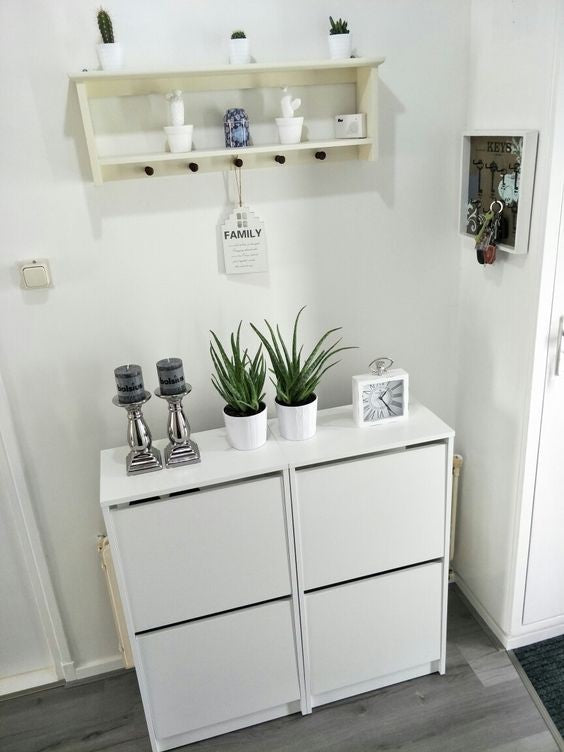 BISSA Shoe cabinet with 2 compartments, White, 49x28x93cm