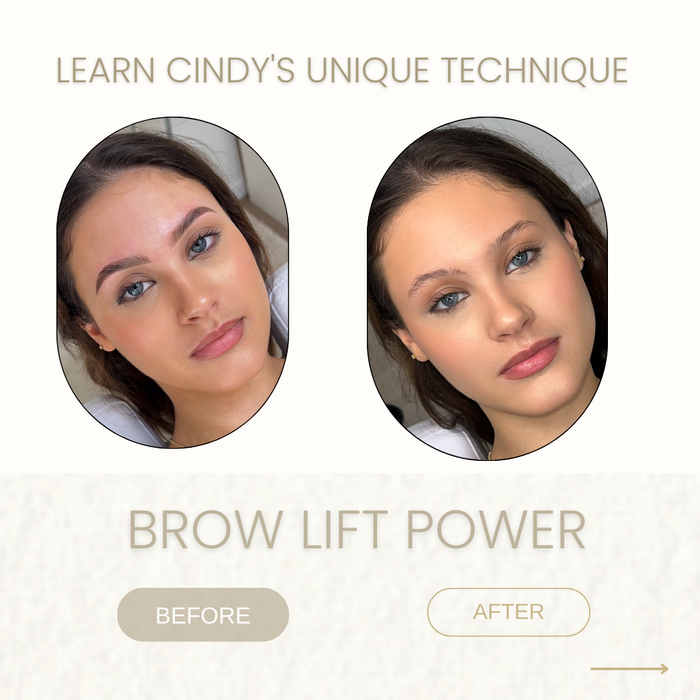 Brow Renaissance Academy - Brow Lamination & Hybrid Dye Online Course