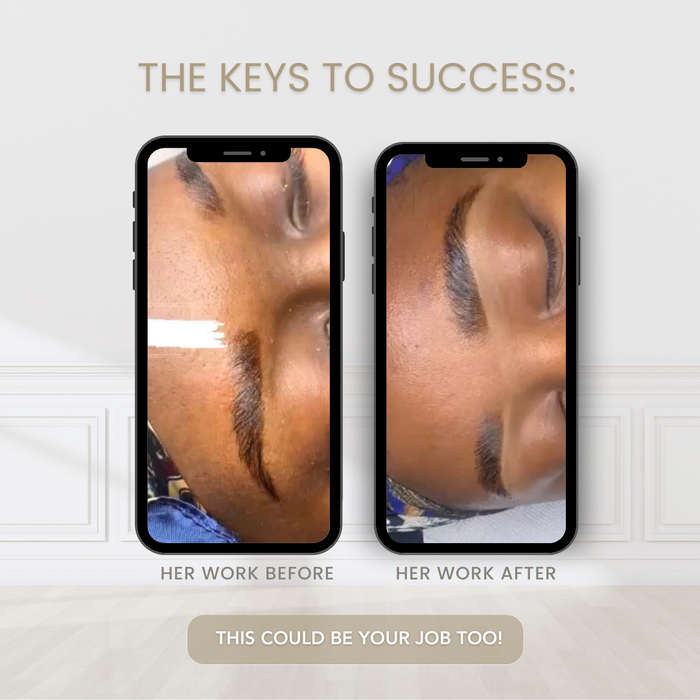 Brow Renaissance Academy - Brow Lamination & Hybrid Dye Online Course