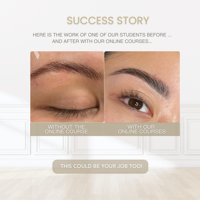 Brow Renaissance Academy - Brow Lamination & Hybrid Dye Online Course