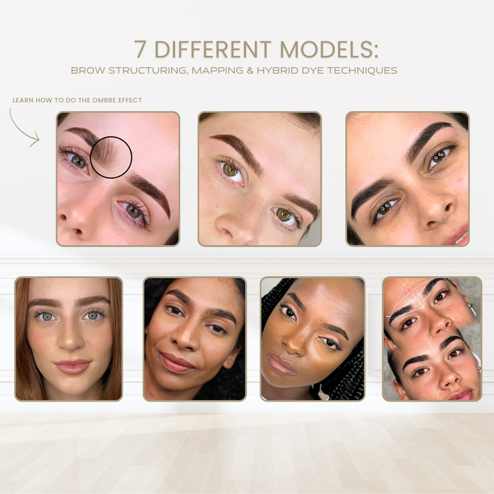 Brow Renaissance Academy - Brow Sculpt & Hybrid Dye Online Course