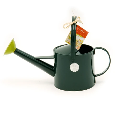 watering can with long spout and top handle for garden and indoor plant watering