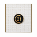 C21 Lapel Pin