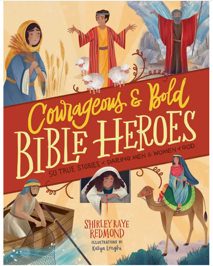 Courageous & Bold Bible Heroes Book