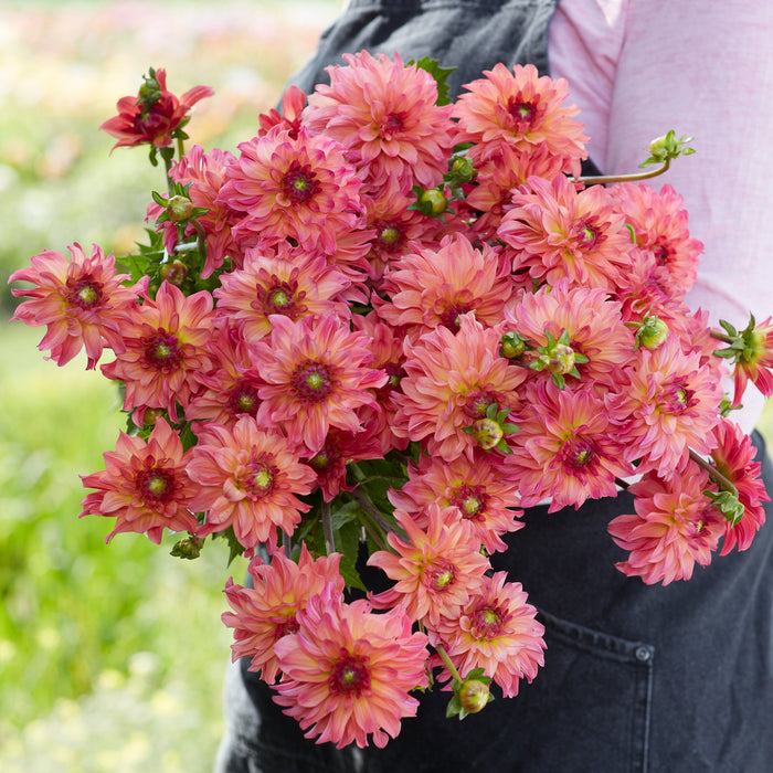 Hand-tied Belfloor bouquet of mixed seasonal flowers in pink, white and green with kraft paper wrap