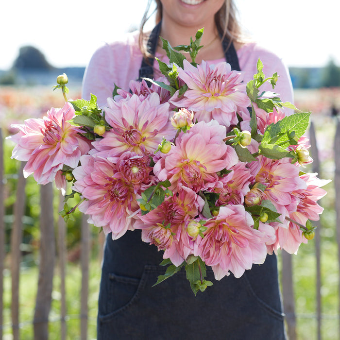 Fairway Pilot robotic lawn mower on green turf with control panel visible at Pengelly Garden Centre