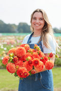 Orange Symphony bedding plant with clusters of vivid orange flowers and glossy green foliage in a terracotta pot
