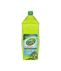 Diversey Pine O Cleen Disinfectant Eucalyptus 1.25 Litre - Stone Doctor Australia - Cleaning > General Use > Antibacterial Disinfectant