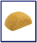 DTA Turtle Back Sponge (1 Pc) - Stone Doctor Australia - Cleaning Accessories > Sponges > Turtle Back Sponge