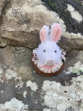 Easter Bunny - Vegan Taxidermy