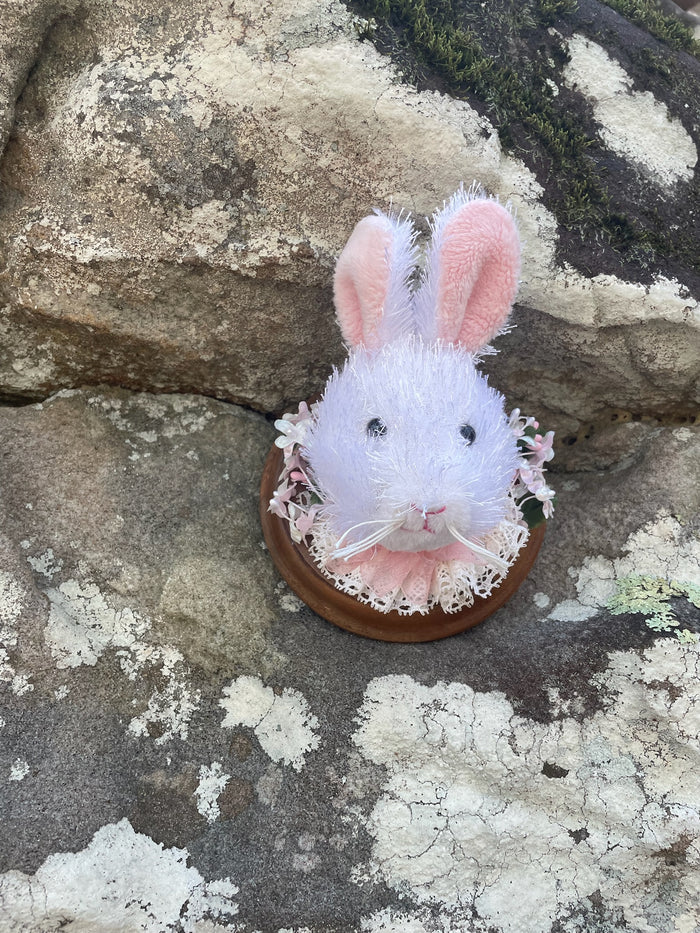Easter Bunny - Vegan Taxidermy