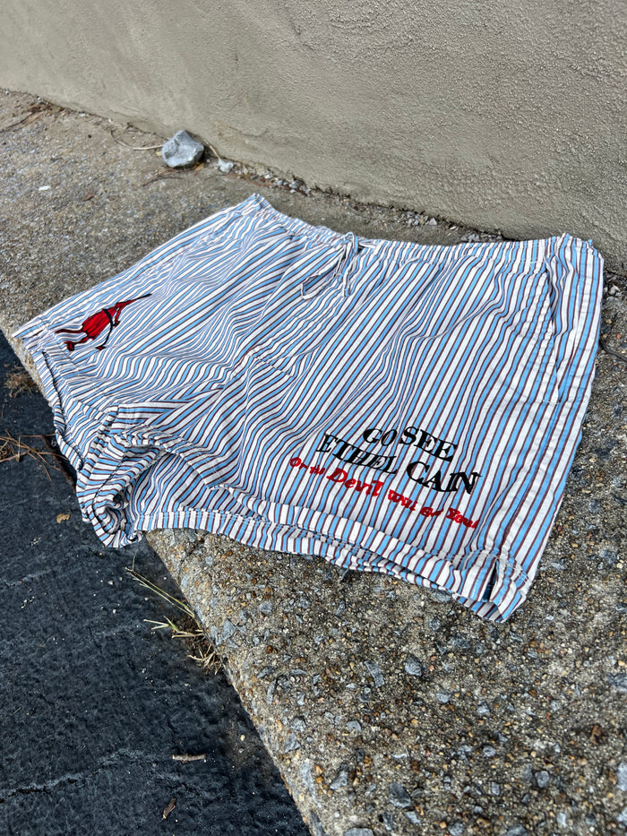 Go See Ethel Cain or the Devil Will Get You - Blue Striped Shorts