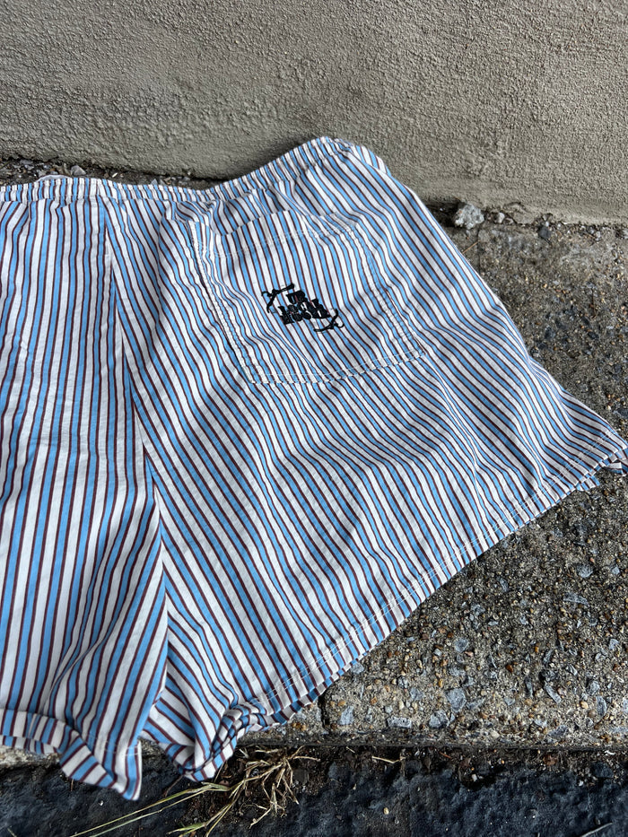 Go See Ethel Cain or the Devil Will Get You - Blue Striped Shorts