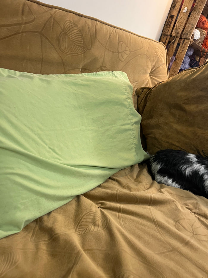 Go See Ethel Cain or the Devil Will Get You - Chartreuse Pillowcase