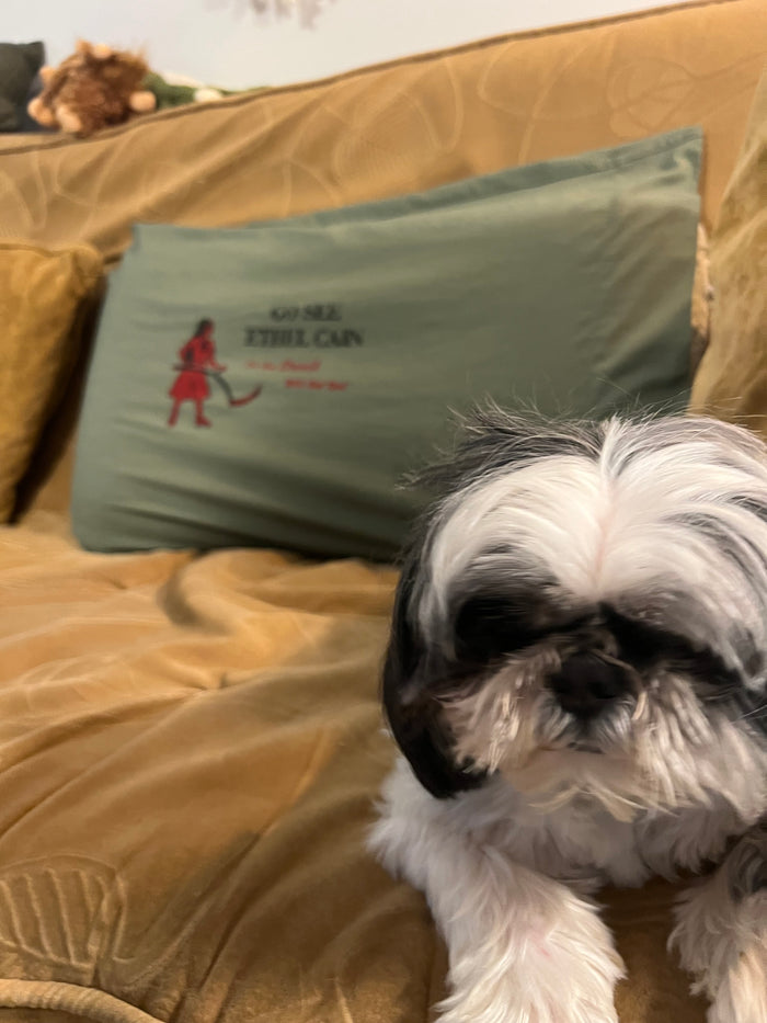 Go See Ethel Cain or the Devil Will Get You - Green Pillowcase