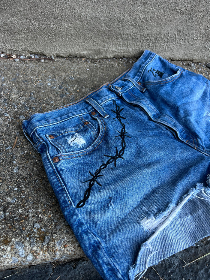Go See Ethel Cain or the Devil Will Get You -  Levi Denim Shorts