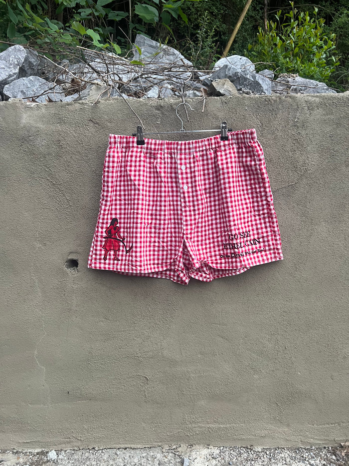 Go See Ethel Cain or the Devil Will Get You - Red Gingham Shorts