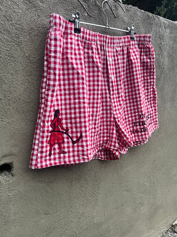 Go See Ethel Cain or the Devil Will Get You - Red Gingham Shorts