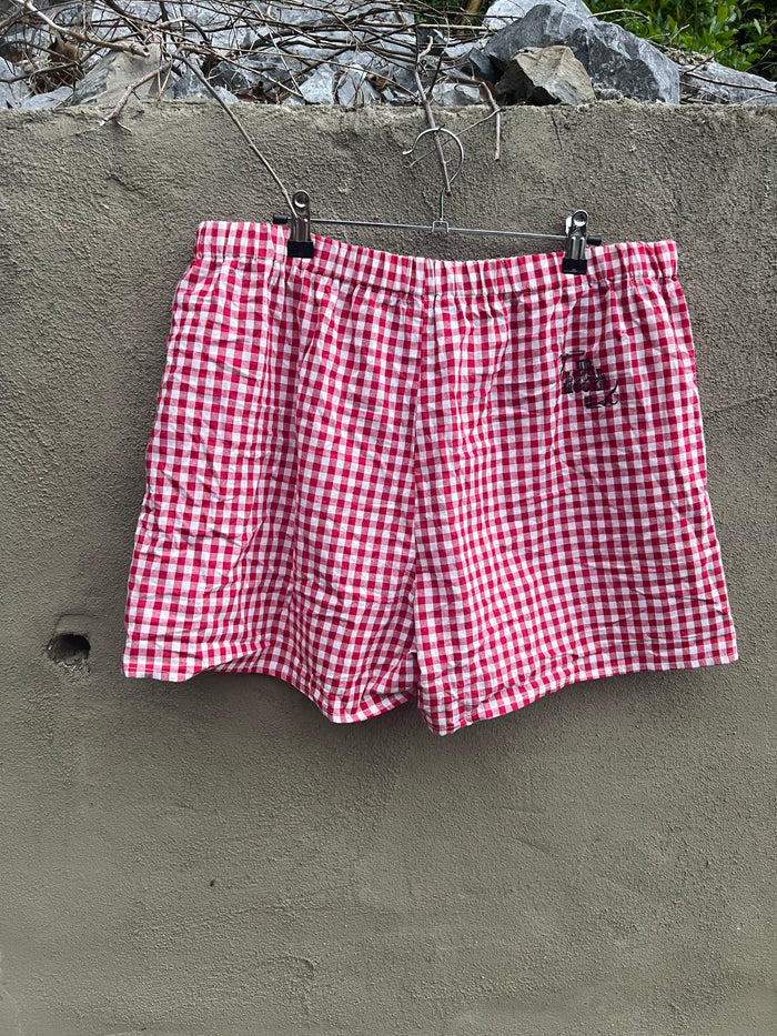 Go See Ethel Cain or the Devil Will Get You - Red Gingham Shorts