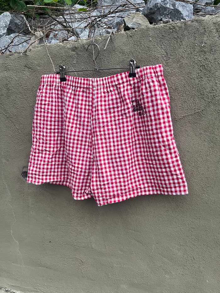 Go See Ethel Cain or the Devil Will Get You - Red Gingham Shorts