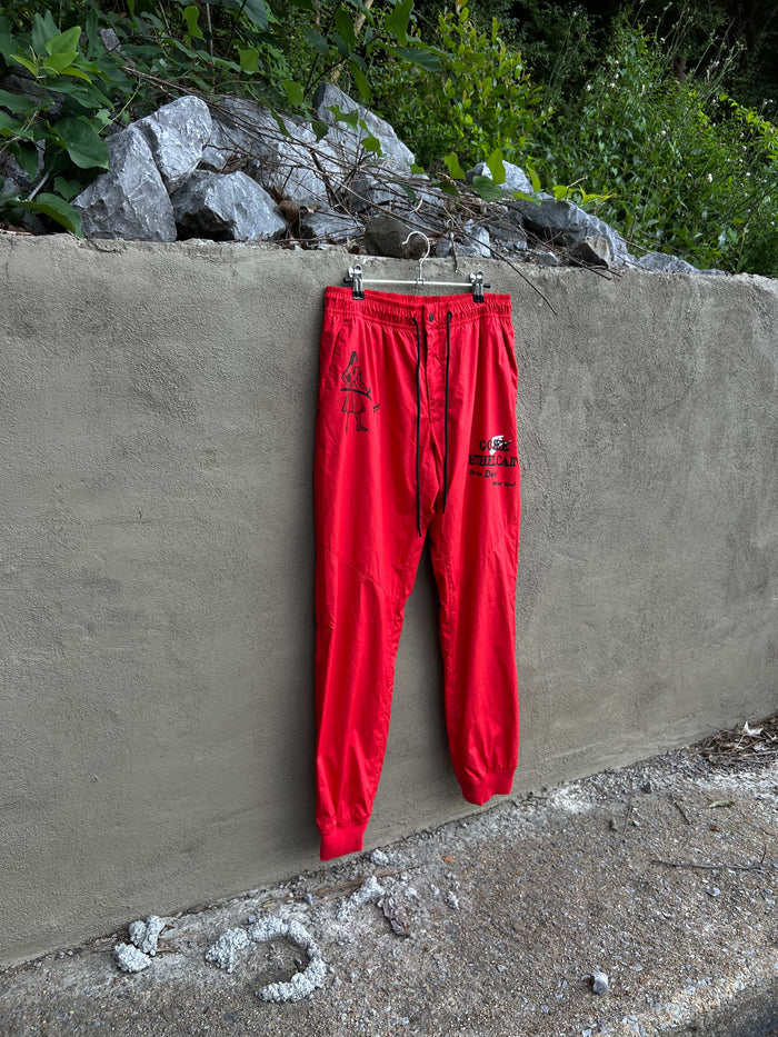 Go See Ethel Cain or the Devil Will Get You - Red Nike Pants
