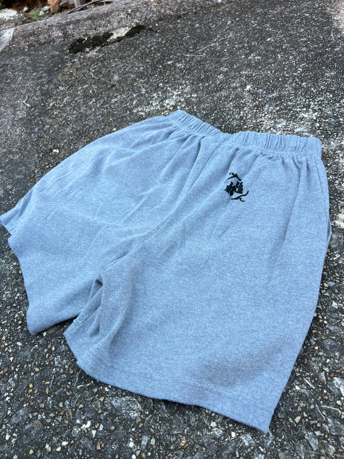 Go See Ethel Cain or the Devil Will Get You - Romans Grey Shorts