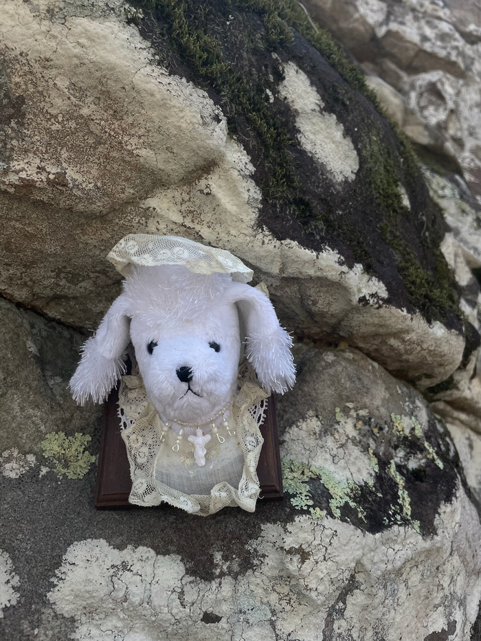 Holy Mother Poodle - Vegan Taxidermy