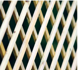 Wooden diamond-pattern trellis panel for climbing plants and garden vines