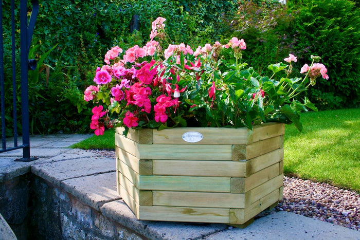 Hexagonal wooden planter with colourful trailing petunias on gravel patio