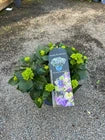 tray of mixed bedding plants including petunias and begonias in nursery tray at garden centre