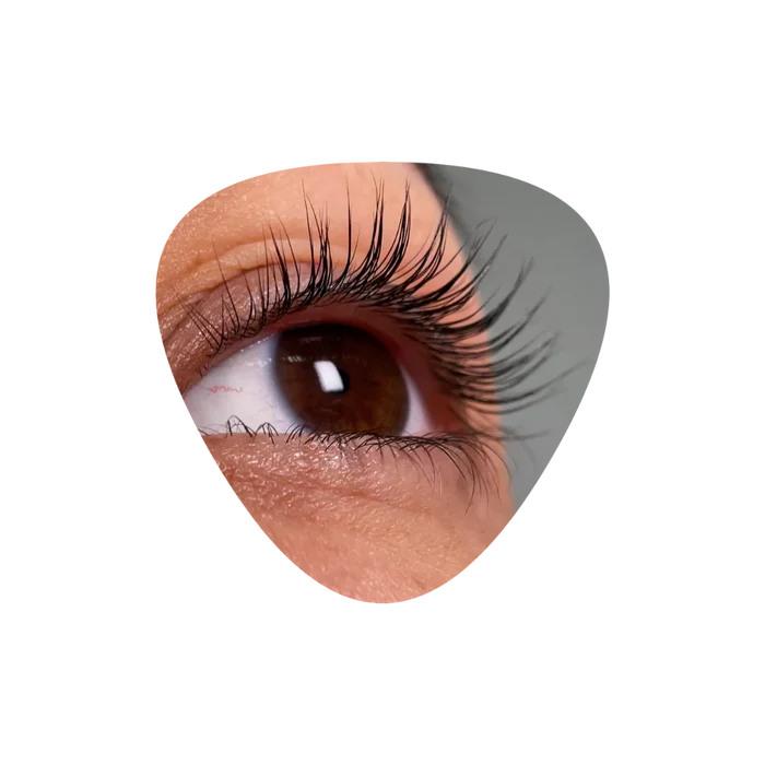 InLei - Forma + Forma UP NEW Universal Eyelash Shields (4 pairs in a pack)