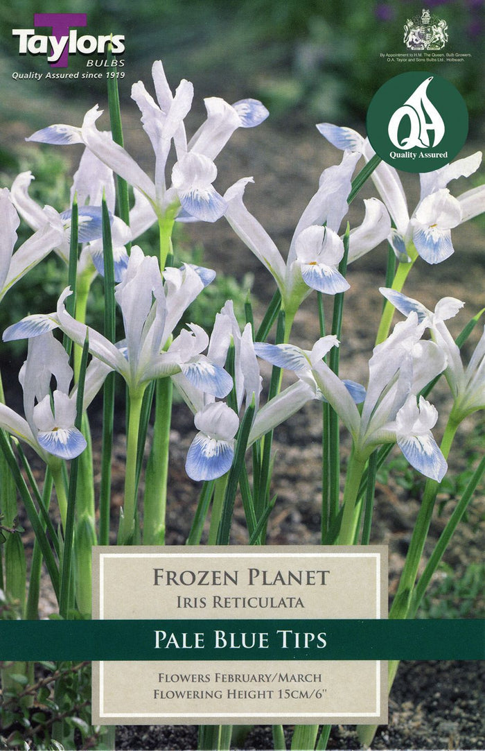 silver-blue frosted glass garden globe on metal stake, Frozen Planet outdoor ornament in snowy border