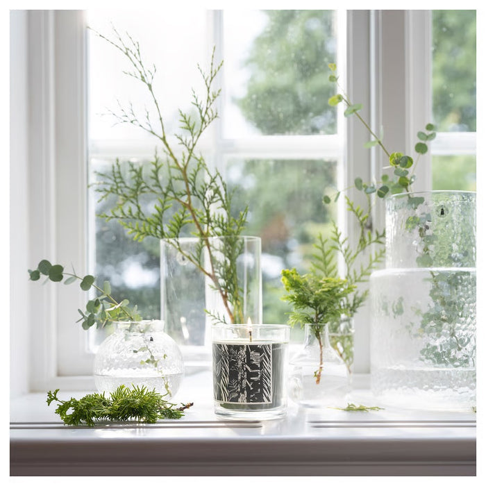 JAMTSKOGEN Scented candle in glass, Cypress & eucalyptus/dark green, 45hr