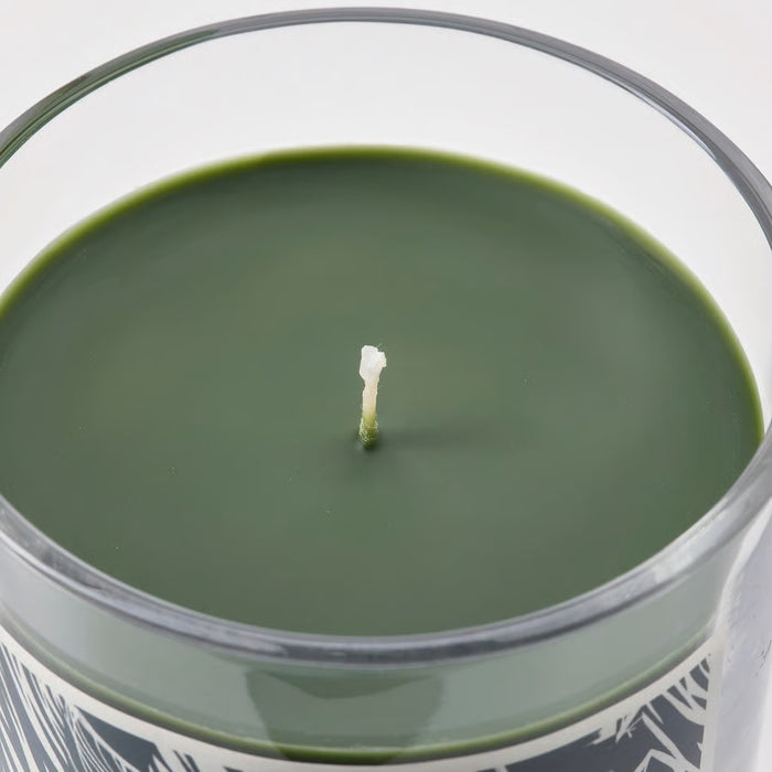 JAMTSKOGEN Scented candle in glass, Cypress & eucalyptus/dark green, 45hr
