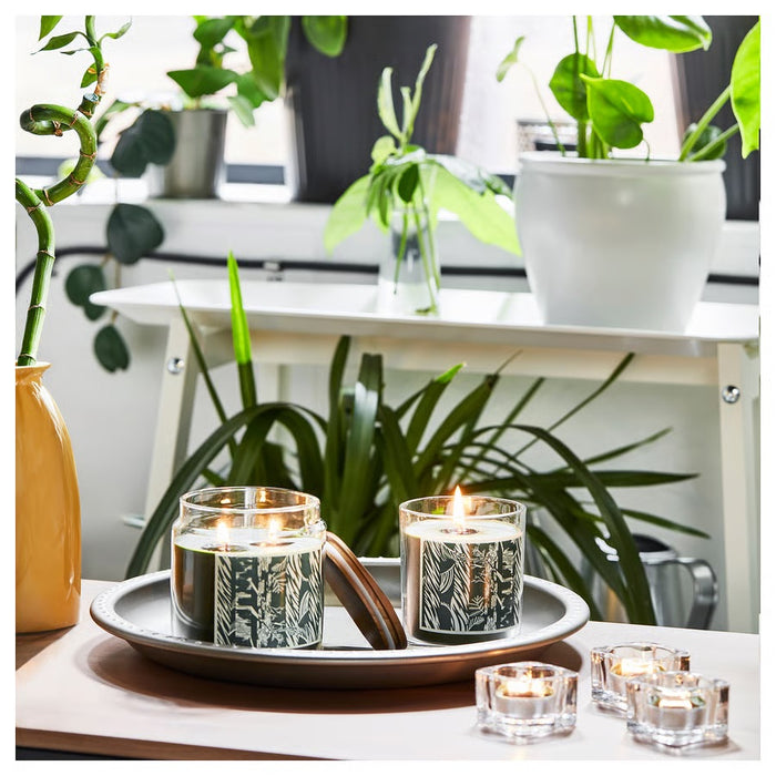 JAMTSKOGEN Scented candle in glass, Cypress & eucalyptus/dark green, 45hr