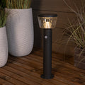 dark green metal plant support stake with hooked top for climbing plants and tomato supports
