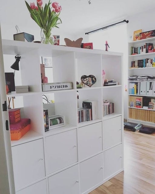 KALLAX insert with door, White
