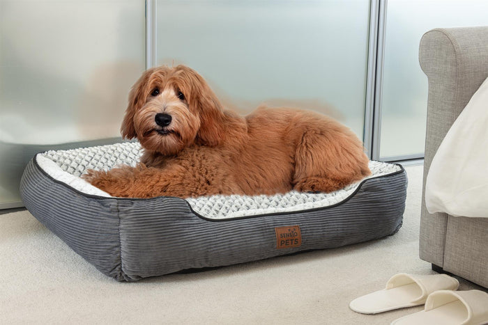 Luxury Dog Cat Pet Bed Size Large - Buy Now