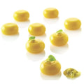 Micro Flex Stone 5 Silicone Mold - 35 Forms