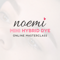 Noemi - Mini Hybrid Dye Masterclass