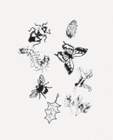 Outdoor Discovery Solar Print Kit by Outdoor Discovery features black and white sketches of insects, a butterfly, pinecone, leaf, and hummingbird, evoking nature-inspired art on a plain white background.
