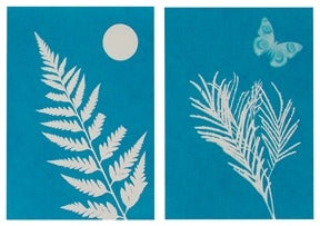 The Outdoor Discovery Solar Print Kit by Outdoor Discovery creates cyanotype-style art: one panel shows a white fern and sun on blue, while the other features a pine branch and butterfly, for striking, nature-inspired prints.
