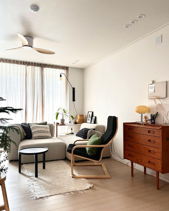 POANG Armchair, Birch veneer & knisa black